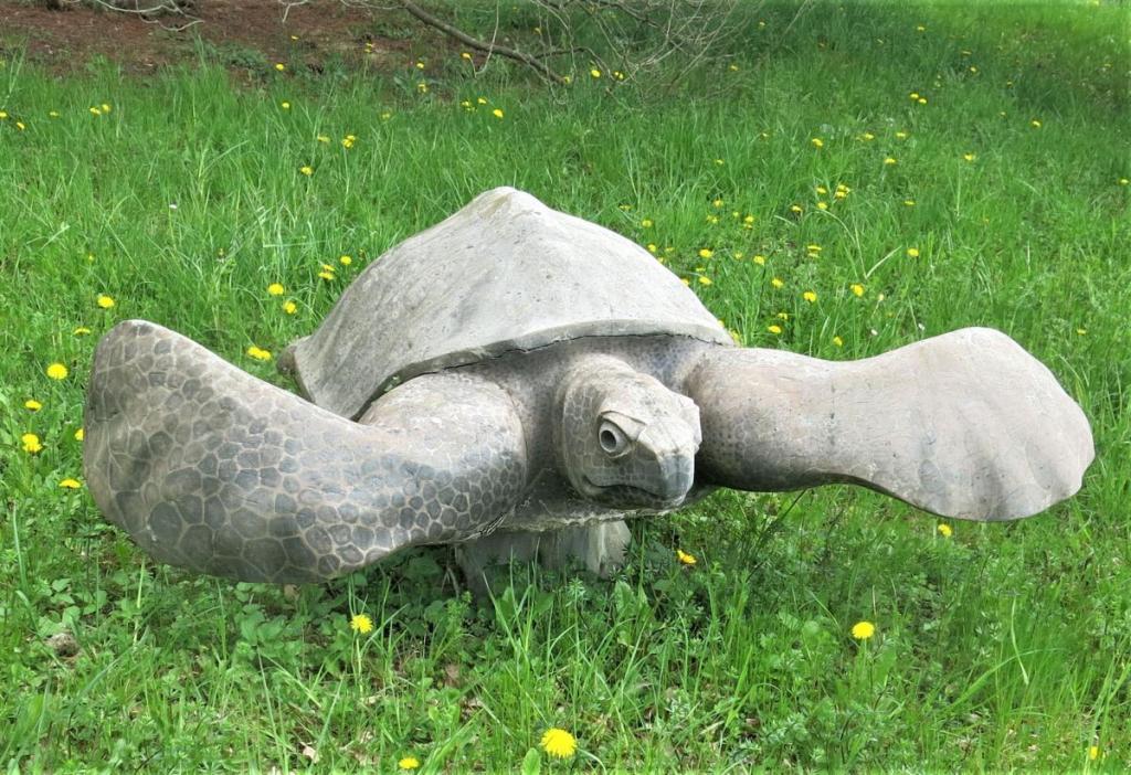 Tierwelt