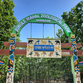 Zootiere brauchen …